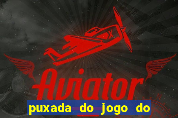 puxada do jogo do bicho da sueli